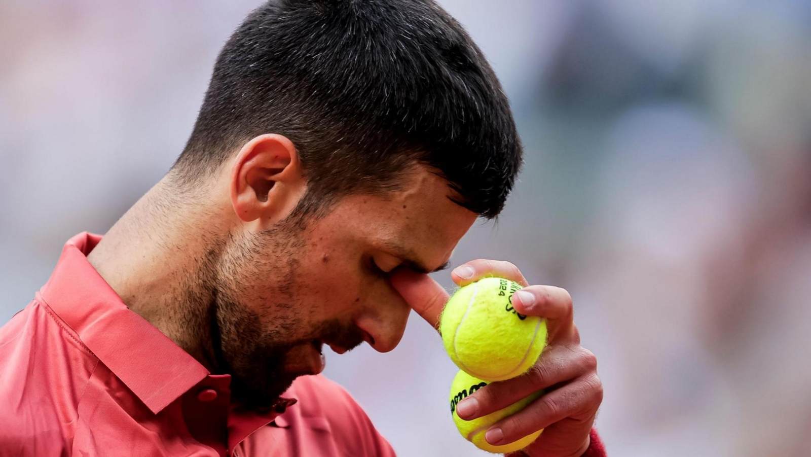 novak