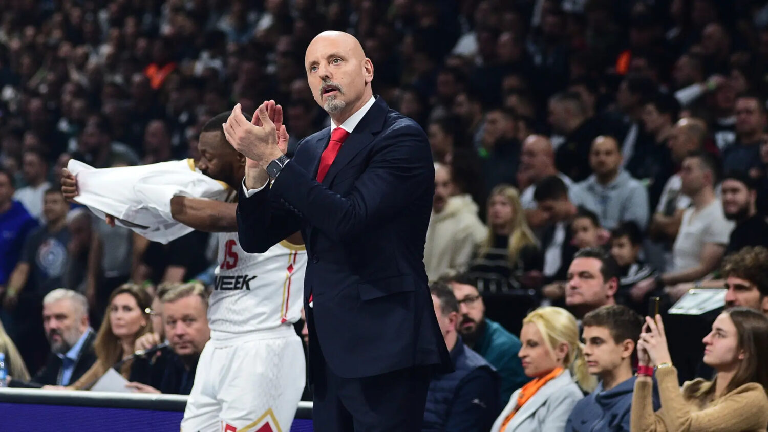 sasa obradovic