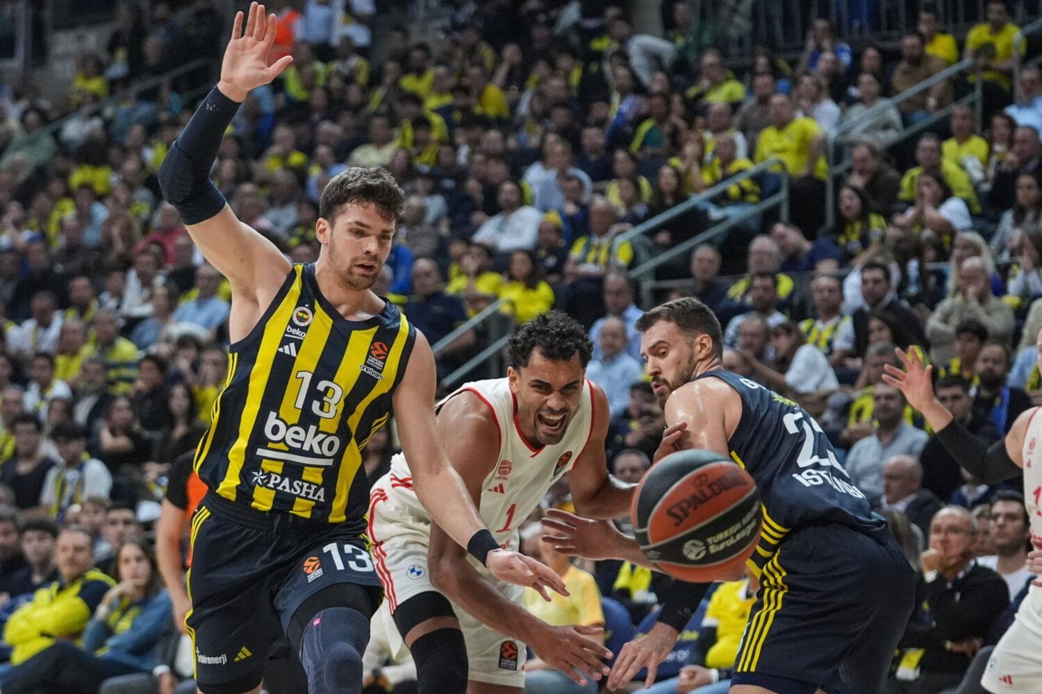 fenerbahce